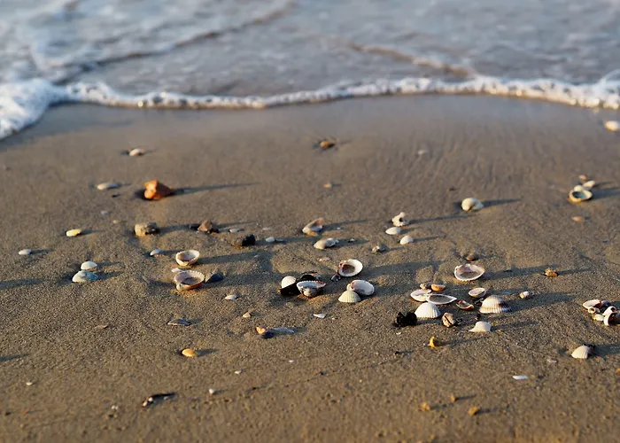 Lägenhet Modern With Swimming Pools - Beahost